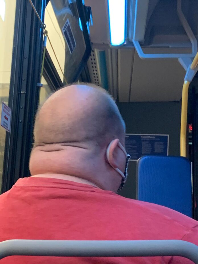 Verzin een Onderschrift - 2 augustus 2021