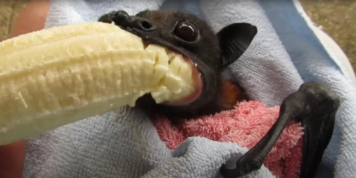 Verzin een Onderschrift - 2 september 2021