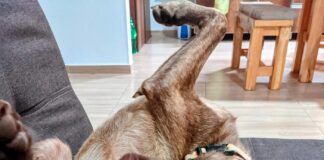 Verzin een Onderschrift - 6 september 2021