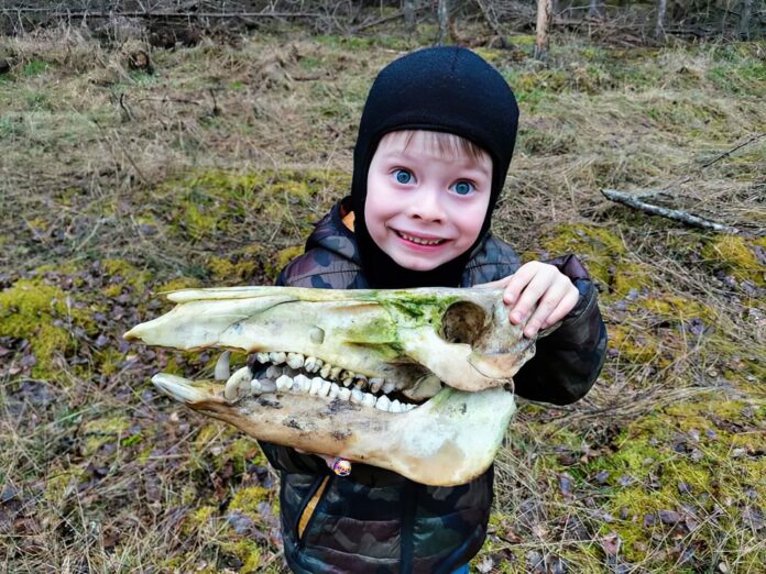 Verzin een Onderschrift 19 oktober 2021