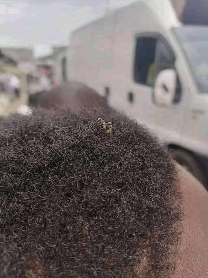 Verzin een Onderschrift 28 oktober 2021 Verzin een Onderschrift 28 oktober 2021