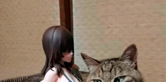 Verzin een Onderschrift 25 november 2021