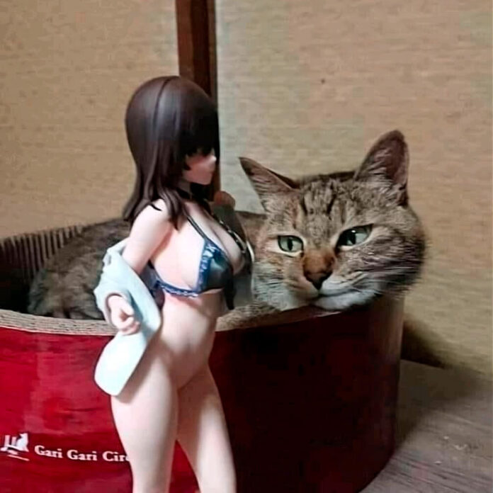 Verzin een Onderschrift 25 november 2021