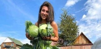 Verzin een Onderschrift 3 december 2021