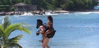 Verzin een Onderschrift 7 december 2021