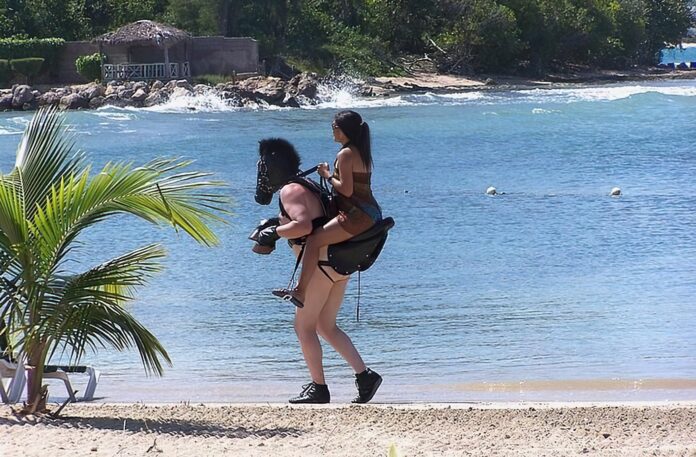 Verzin een Onderschrift 7 december 2021