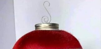 Verzin een Onderschrift 24 december 2021