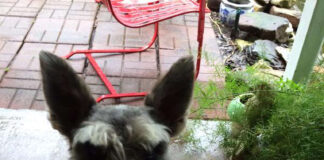 Verzin een Onderschrift 31 december 2021