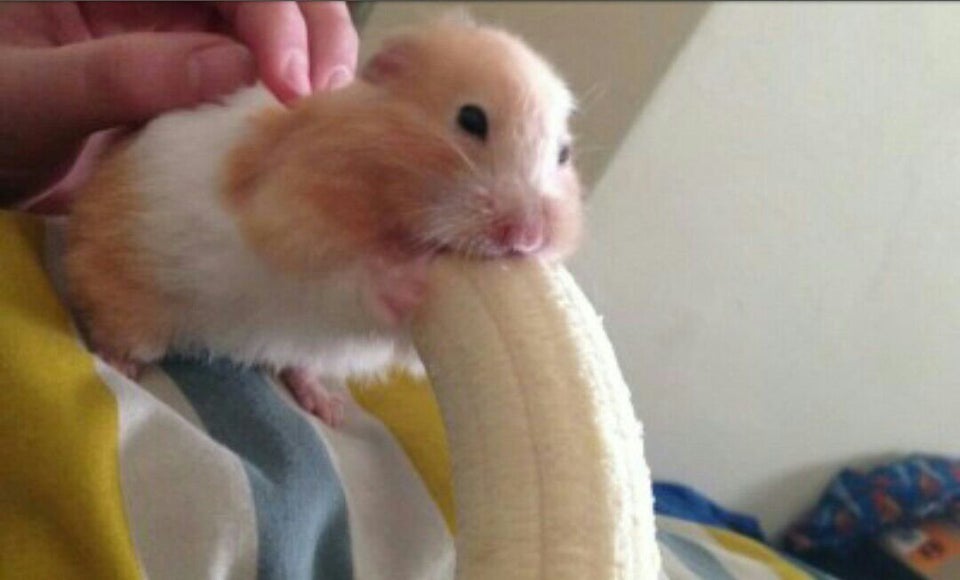 RBnUD3iTlHo2X6b4J_DxjwFIh3iivKTq8t4tkldvX5w
