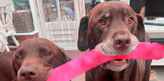 Verzin een Onderschrift 3 januari 2021