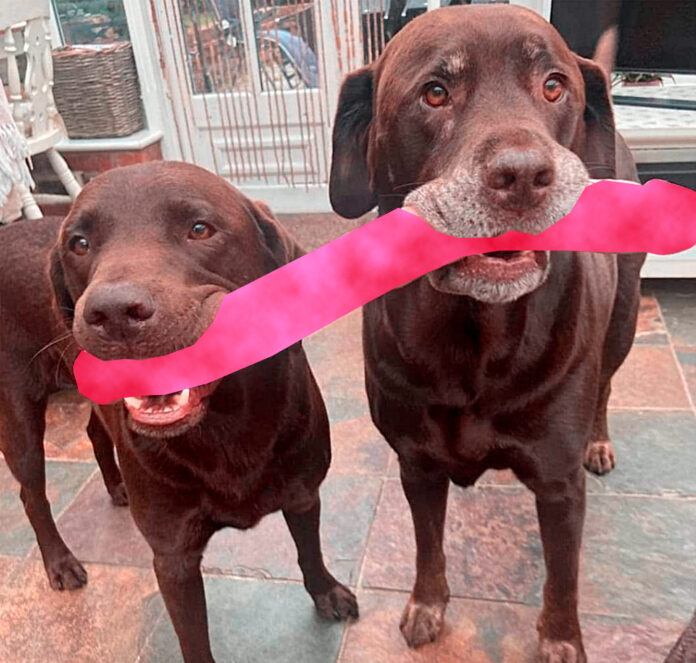 Verzin een Onderschrift 3 januari 2021