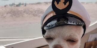 Verzin een Onderschrift 5 januari 2022