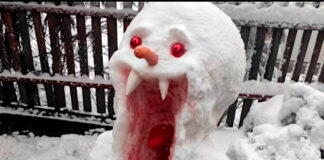 Verzin een Onderschrift 6 januari 2022