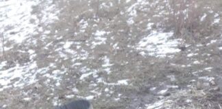 Verzin een Onderschrift 1 maart 2022