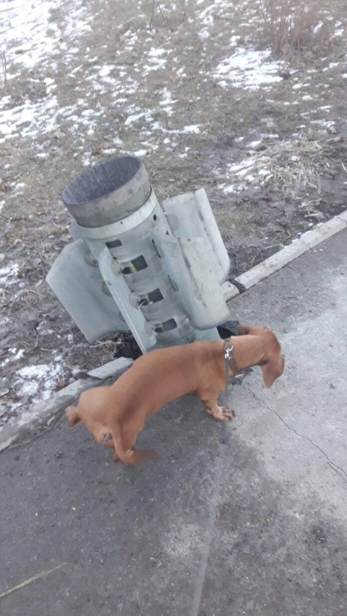 Verzin een Onderschrift 1 maart 2022