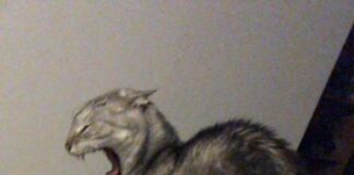 Verzin een Onderschrift 10 maart 2022