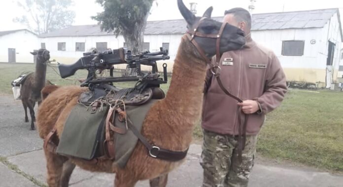 Verzin een Onderschrift 24 maart 2022 Verzin een Onderschrift 24 maart 2022