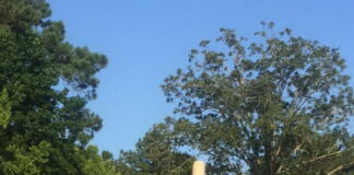 Verzin een Onderschrift 9 april 2022