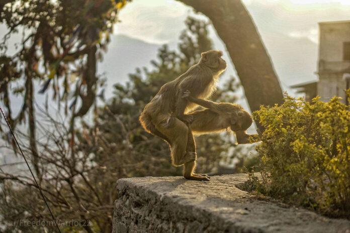 Verzin een Onderschrift 2 mei 2022