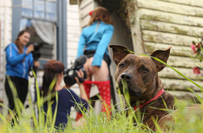 Verzin een Onderschrift 15 juni 2022 Verzin een Onderschrift 15 juni 2022