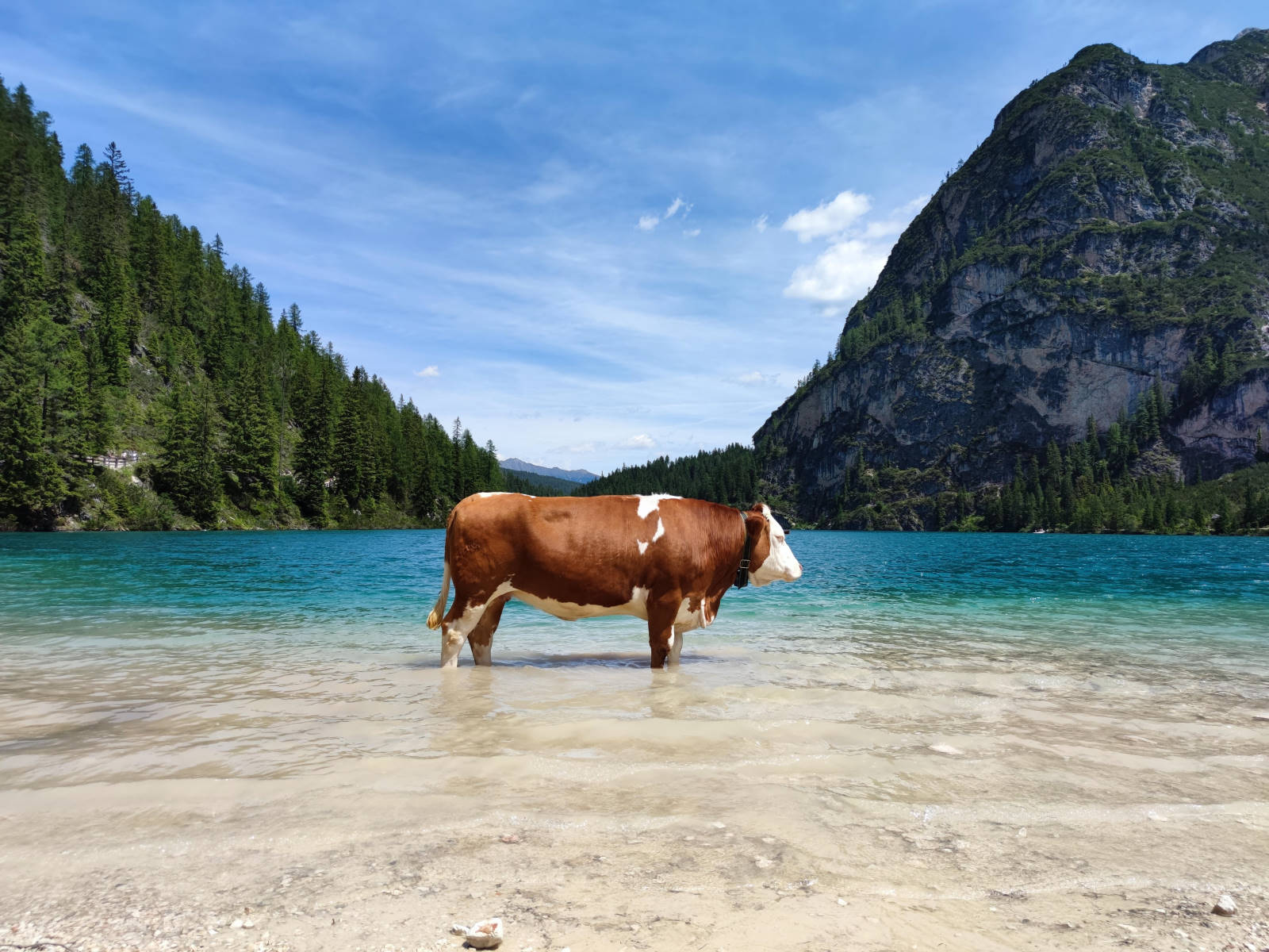 Verzin een Onderschrift 18 juni 2022