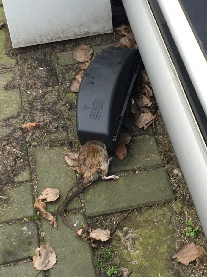 Verzin een Onderschrift 29 juli 2022 Verzin een Onderschrift 29 juli 2022