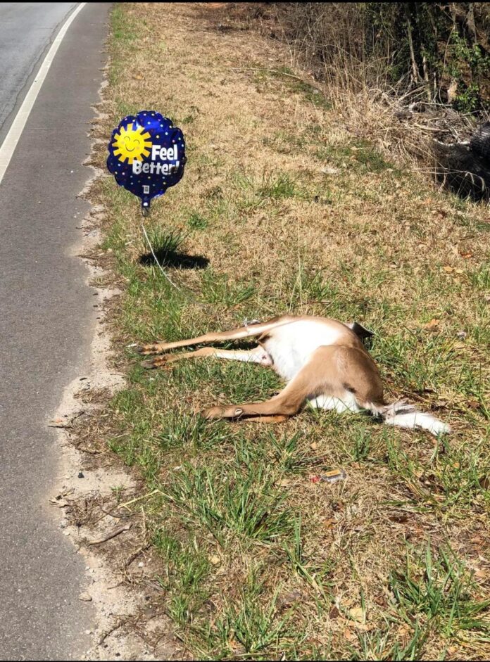 Verzin een Onderschrift 10 augustus 2022