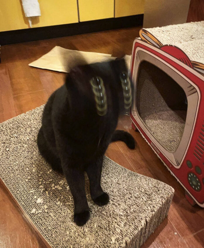 Verzin een Onderschrift 19 augustus 2022 Verzin een Onderschrift 19 augustus 2022