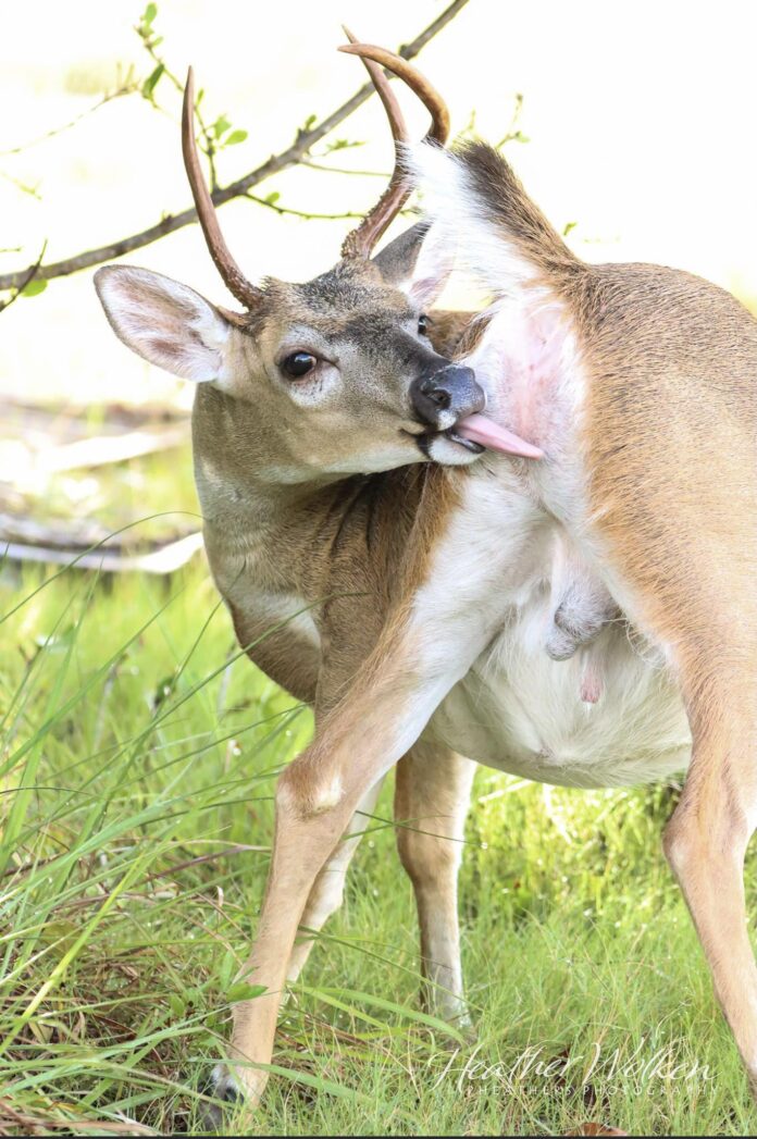 Verzin een Onderschrift 1 september 2022