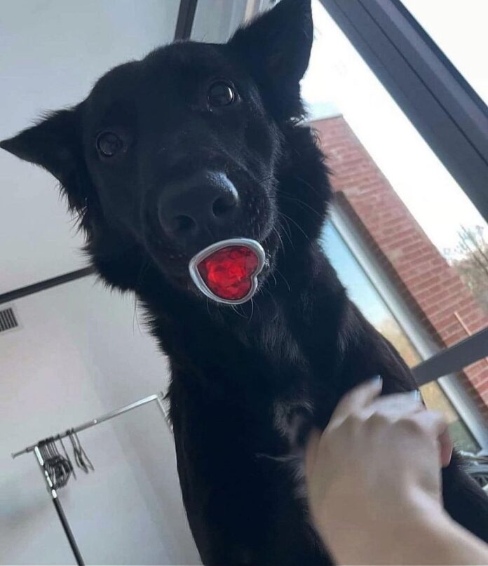 Verzin een Onderschrift 13 september 2022 Verzin een Onderschrift 13 september 2022