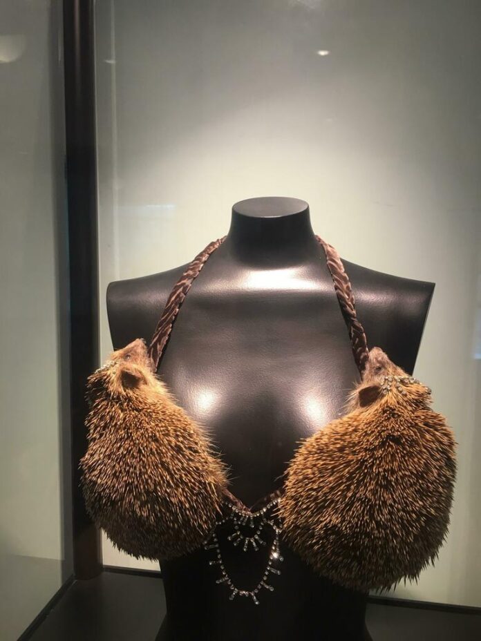 Verzin een Onderschrift 30 september 2022