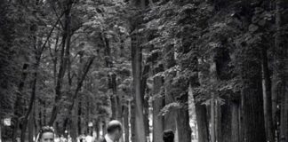 Verzin een Onderschrift 7 december 2022