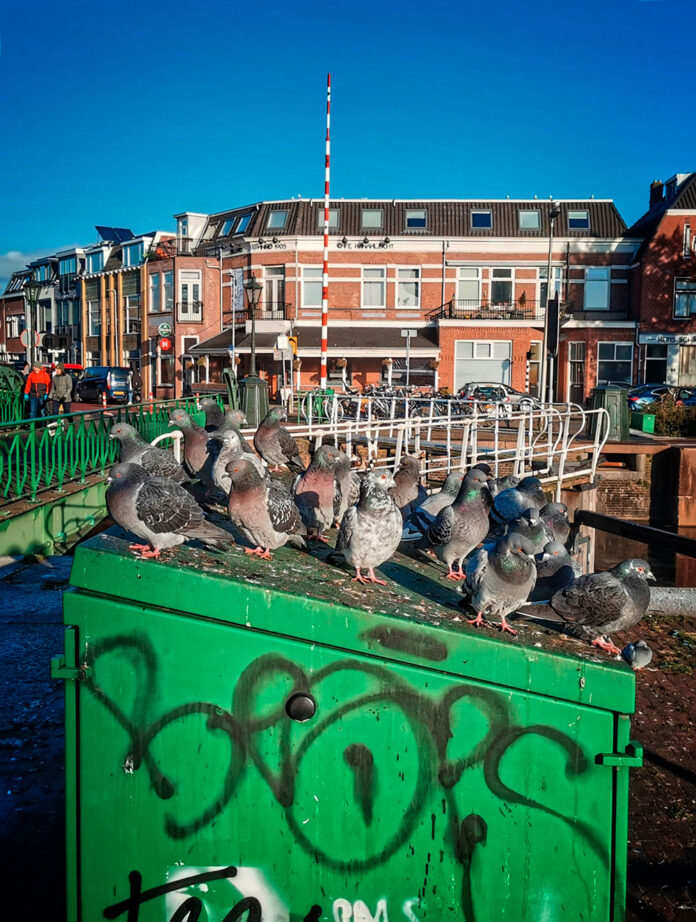 Verzin een Onderschrift 23 december 2022