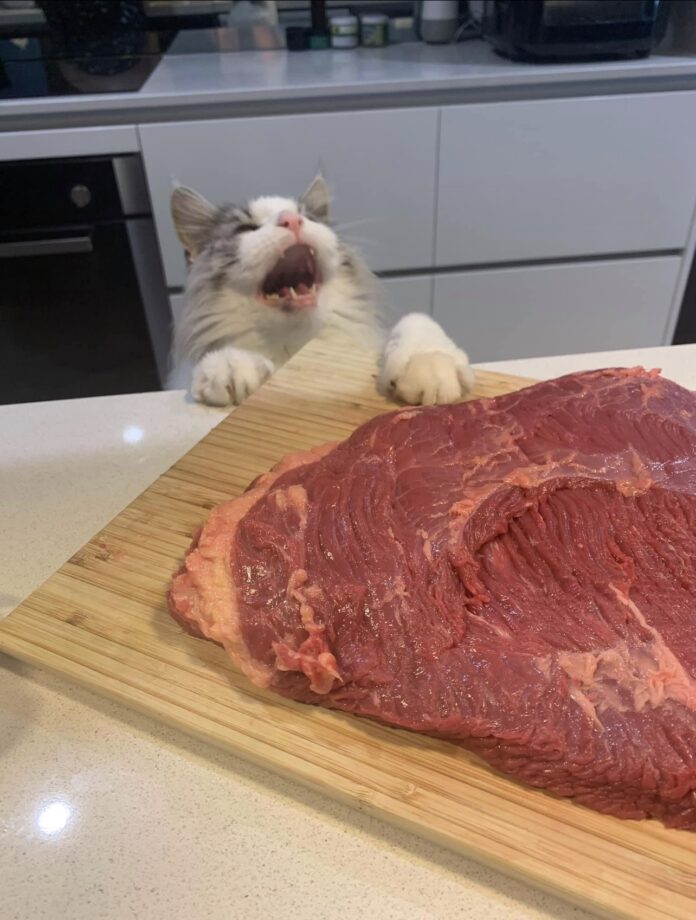 Verzin een Onderschrift 21 januari 2023