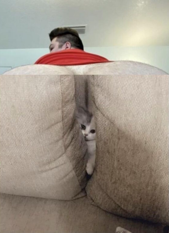 Verzin een Onderschrift 3 februari 2023 Verzin een Onderschrift 3 februari 2023