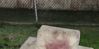 Verzin een Onderschrift 20 februari 2024