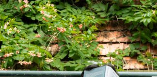 Verzin een Onderschrift 17 juli 2024