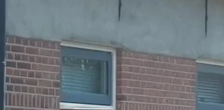 Verzin een Onderschrift 23 juli 2024