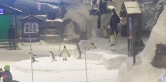 TravelPhotos.nl (c) CC Attribution-Share Alike 3.0 Unported - no changes