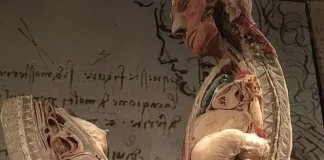 Verzin een Onderschrift 5 februari 2025