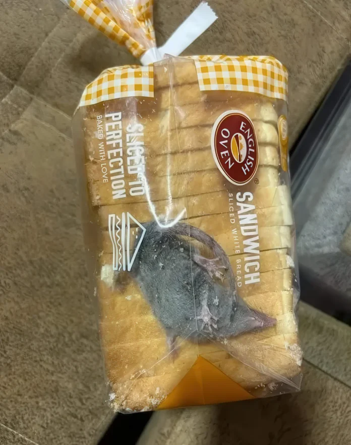 Verzin een Onderschrift 10 februari 2025