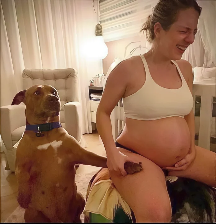 Verzin een Onderschrift 12 februari 2025