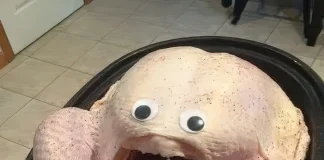 Verzin een Onderschrift 19 februari 2025