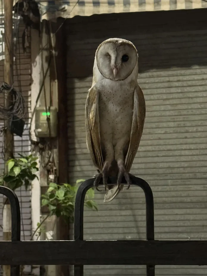 Verzin een Onderschrift 23 april 2025