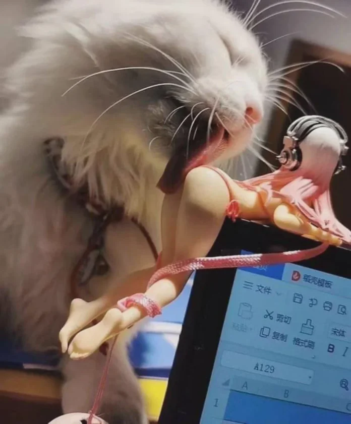 Verzin een Onderschrift 24 april 2025