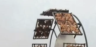 Verzin een Onderschrift 19 mei 2025