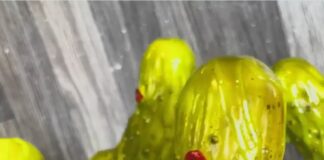 Verzin een Onderschrift 26 mei 2025