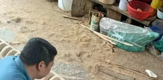 Verzin een Onderschrift 26 juni 2025