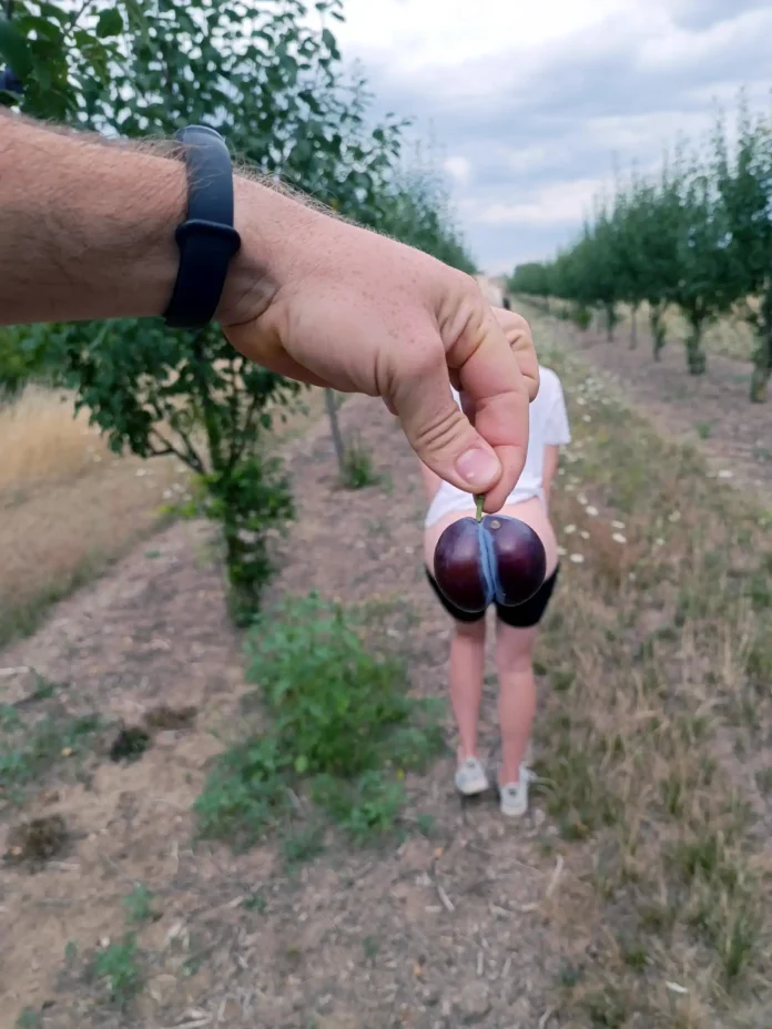 Verzin een Onderschrift 16 juli 2025