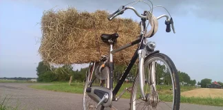 Verzin een Onderschrift 13 augustus 2025